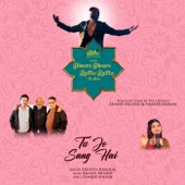 Tu Jo Sang Hai artwork