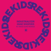 Snake Whisperer (Radio Slave 'ambient' Remix) artwork