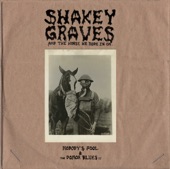 Shakey Graves - The Donor Blues