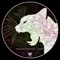 Acid Freak - FRANK MAUREL & Mario Franca lyrics