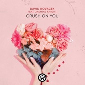 Crush on You (feat. Jasmine Knight) artwork