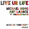 Live Ur Life (feat. Cinnamon Brown) album lyrics, reviews, download