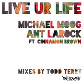 Live Ur Life (feat. Cinnamon Brown) [Ant Main Mix] artwork
