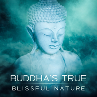 Buddhism Academy - Buddha's True Blissful Nature: Essence of the Mind, Meditation Music, Eastern Wisdom, Achievement of Enlightenment, Buddhism Zen, Chakras Cleansing artwork