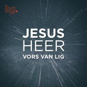 Jesus Heer Vors Van Lig artwork