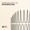 Stream & download Introspection - Single