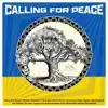 Calling for Peace (feat. Alex Sipiagin, Sasha Mashin, Makar Novikov & Robert Bonisolo) - Single album lyrics, reviews, download