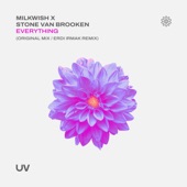 Everything (Erdi Irmak Remix) artwork