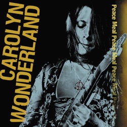 Carolyn Wonderland - What Good Can Drinkin' Do