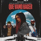 QUE VAMO HACER (feat. Totoy El Frio) artwork