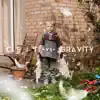 Vs. Gravity album lyrics, reviews, download