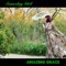 Amazing Grace (feat. Amanda Abizaid) - Someday Girl lyrics