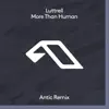 More Than Human (Antic Remix) album lyrics, reviews, download