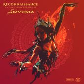 Reconnaissance - A Compilation Curated by Govinda - Various Artists