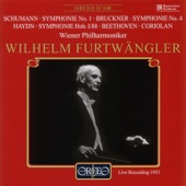 Schumann, Bruckner, Haydn & Beethoven: Orchestral Works artwork