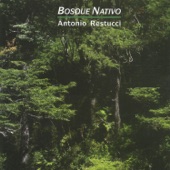 Bosque Nativo artwork