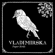 Paper Birds - Vladimirska