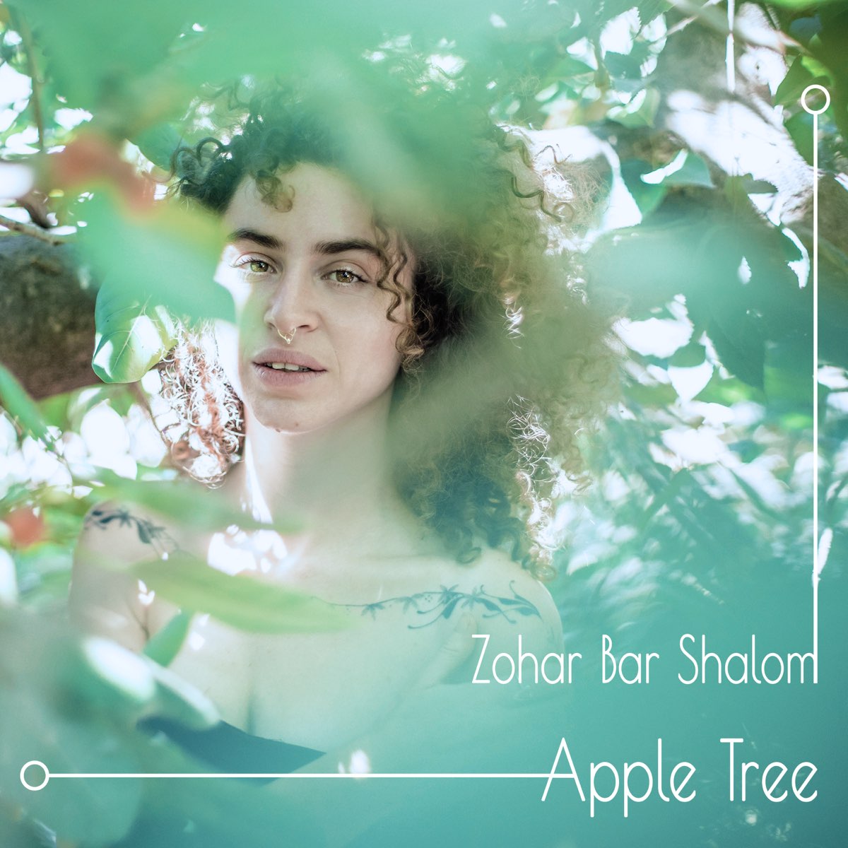 apple-tree-by-zohar-bar-shalom-on-apple-music