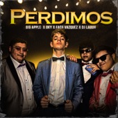Perdimos (feat. Facu Vazquez) artwork
