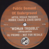 Woman Trouble (Remix) [feat. Robbie Craig & Craig David] - Artful Dodger