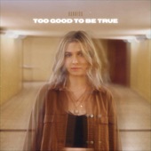 Too Good To Be True artwork