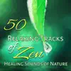50 Relaxing Tracks of Zen: Healing Sounds of Nature for Massage, Spa, Yoga, Meditation and Soothe Your Soul album lyrics, reviews, download