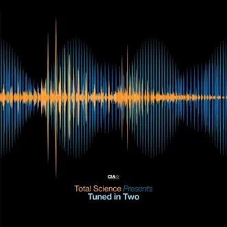 Past Lives (feat. Kevin King) [Lenzman Remix] by Total Science & S.P.Y song reviws