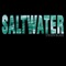 Saltwater - Steven Blade lyrics