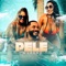 Pele Morena - Caverinha & Bm lyrics