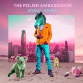 The Polish Ambassador & Friends, Vol. 1 (feat. Jesse Klein, Robin Jackson & Ananda Vaughan) - EP artwork