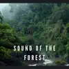 Sound of the Forest - Hang Drum Relax album lyrics, reviews, download