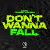 Don't Wanna Fall - Single