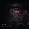 Rey Primate - Ida y Vuelta