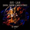 Galar (Bayaka, Sparrow & Barbossa Remix) - Single