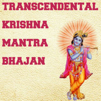 Nipun Aggarwal - Transcendental Krishna Mantra Bhajan artwork