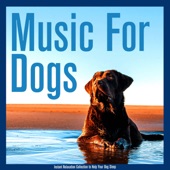Music For Dogs: Instant Relaxation Collection to Help Your Dog Sleep artwork