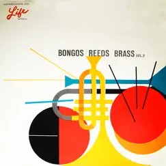 Bongos, Reeds, Brass, Vol. 2 by Harry Zimmerman and His Orchestra album reviews, ratings, credits