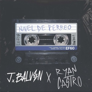 Nivel De Perreo - Single