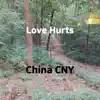 Love Hurts - Single album lyrics, reviews, download