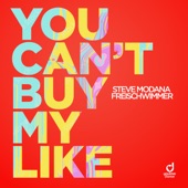 You Can't Buy My Like artwork