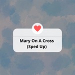DJ Fronteo & Xanemusic - Mary on a Cross (Sped up)
