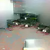 Rats In the Server Room - Single album lyrics, reviews, download
