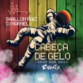 Shallon Raiz - Cabeça de Gelo (Dj Marnel Remix)