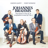 Johannes Brahms Piano Quintet in F minor Op. 34 1. Allegro non troppo artwork