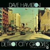 Dave Hamilton - Marriage Is A State Of Vibes