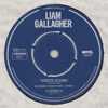 Liam Gallagher - Acoustic Sessions  artwork