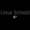 Linus Schmid - F**k The Bauer