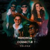 Celosa (feat. Connect-R) - Single