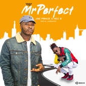 Mr Perfect (feat. Nez B) artwork