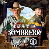 Debajo del Sombrero artwork